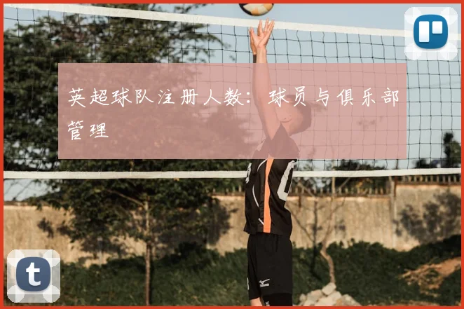 英超球队注册人数：球员与俱乐部管理